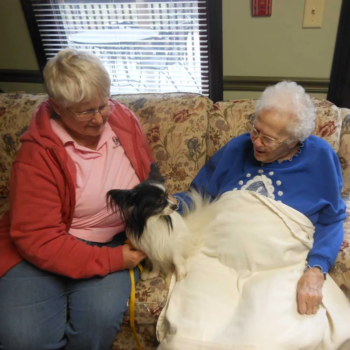 Elderly woman petting therapy dog